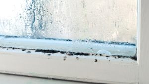 Moisissure sur une fenêtre en PVC: causes et solutions
